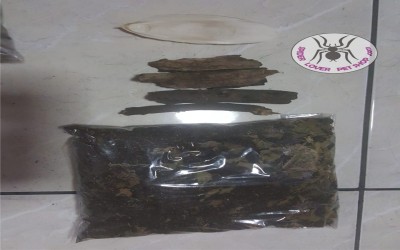 SUBSTRATE ISOPODA / BIOACTIVE KATAK / TARANTULA / DLL - 500 GRAM